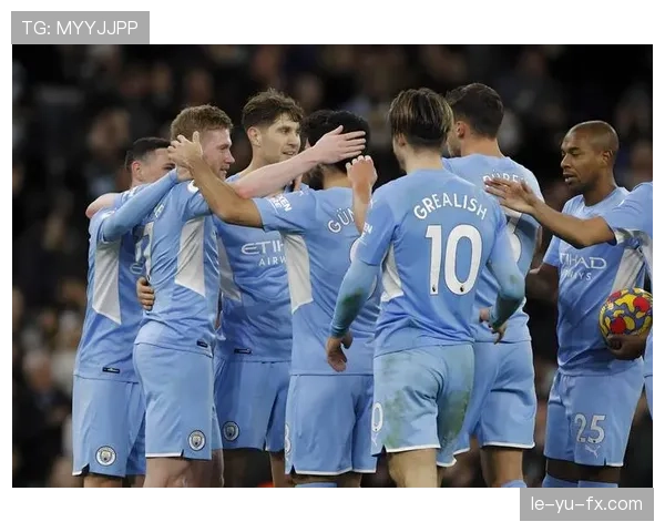 伯恩利数据分析