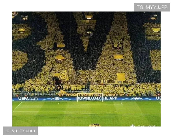 维尔茨 vs 罗伊斯：伤病阴影下的天才轨迹对比